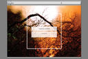 Image / Home Page