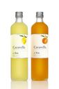Fruit illustrations for limoncello labels