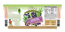 Illustrations for Adina Miracle Juice