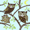 owl_branch_blue1lr.jpg