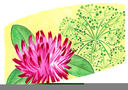 Image used for shampoo label