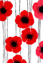 Poppy pattern