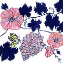 Concept 1 for Clos du Val