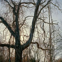 Rhode Island, 05279-9