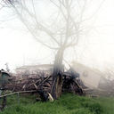Robert Street, B.W. Cooper 2007