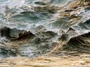 Oceanscape 15756-17