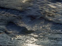 Oceanscape 15681-24